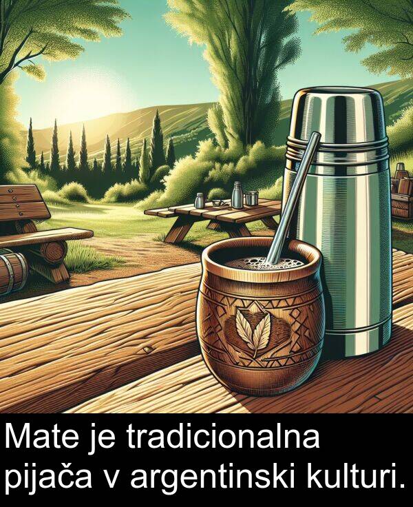 kulturi: Mate je tradicionalna pijača v argentinski kulturi.