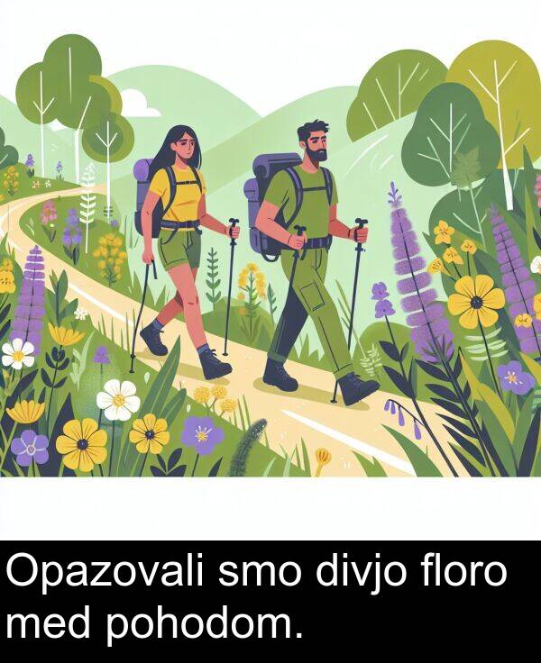 pohodom: Opazovali smo divjo floro med pohodom.