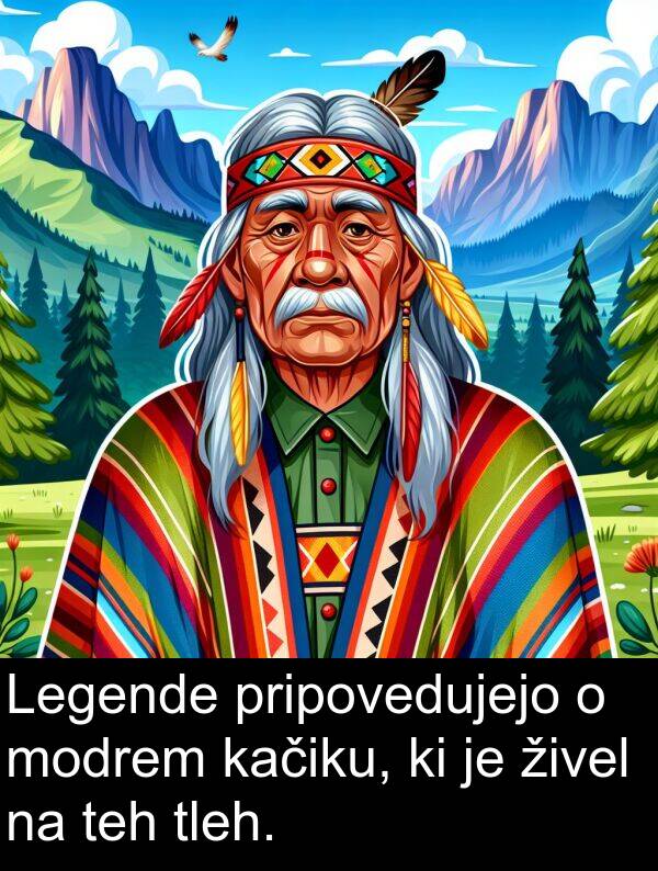 živel: Legende pripovedujejo o modrem kačiku, ki je živel na teh tleh.