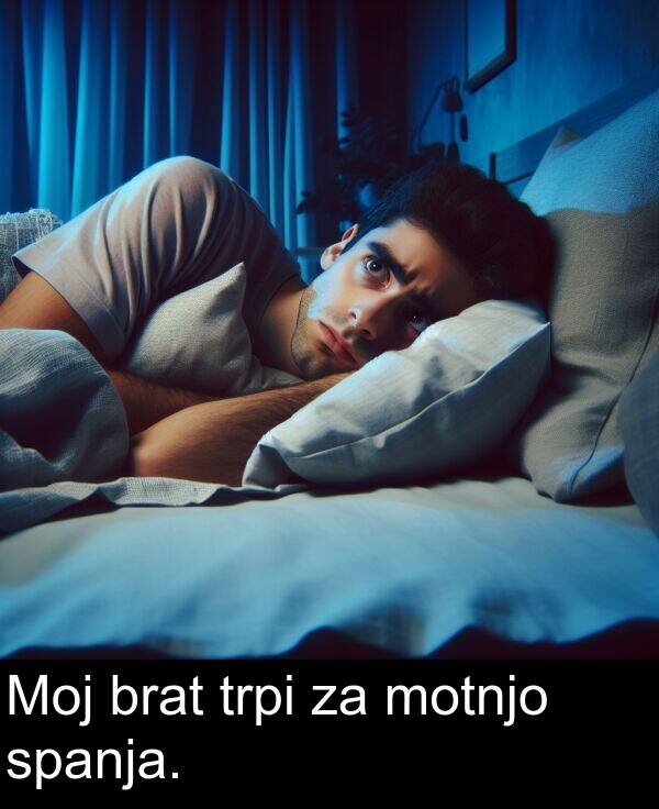 motnjo: Moj brat trpi za motnjo spanja.