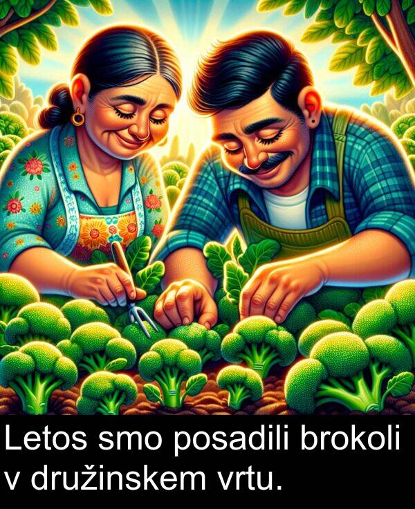 brokoli: Letos smo posadili brokoli v družinskem vrtu.