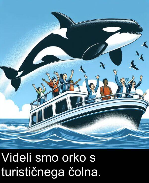 smo: Videli smo orko s turističnega čolna.