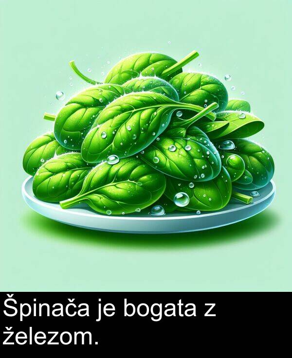 železom: Špinača je bogata z železom.