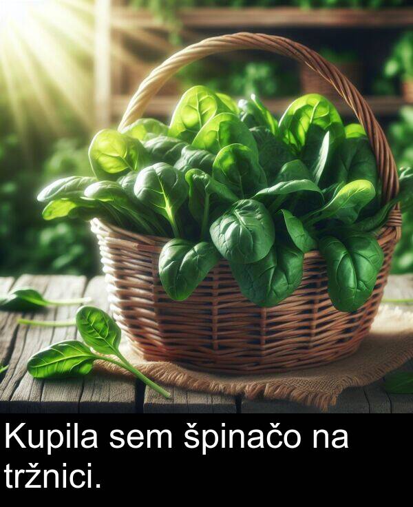 špinačo: Kupila sem špinačo na tržnici.