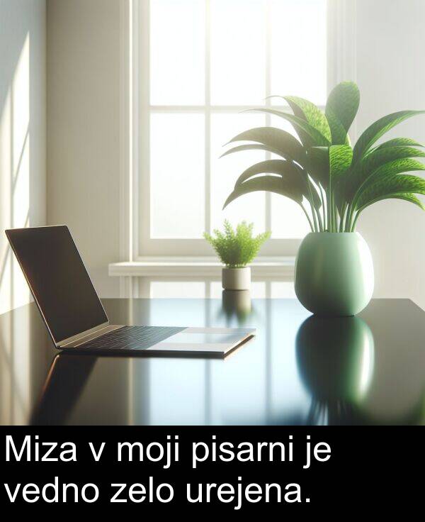moji: Miza v moji pisarni je vedno zelo urejena.