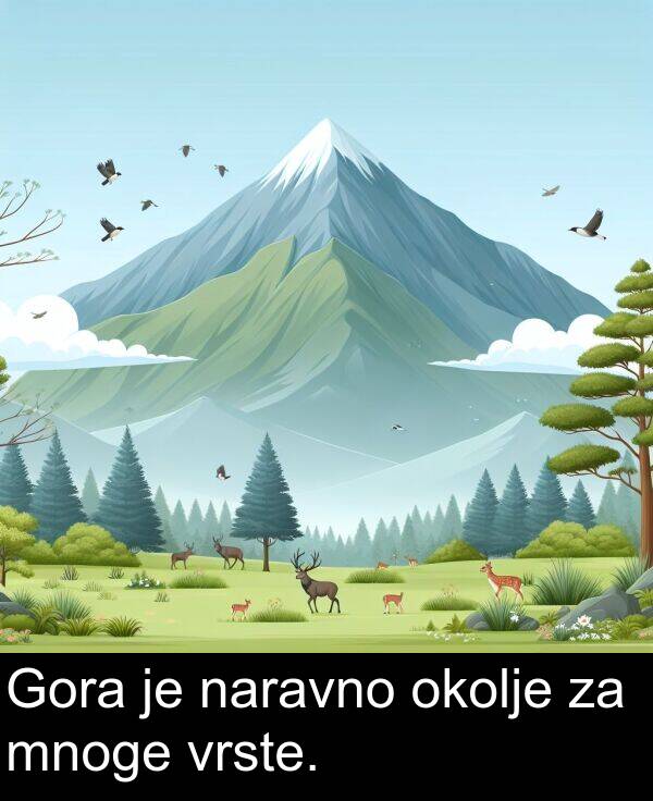 okolje: Gora je naravno okolje za mnoge vrste.