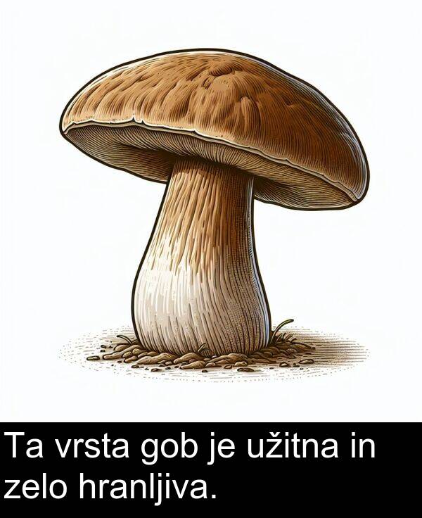 gob: Ta vrsta gob je užitna in zelo hranljiva.