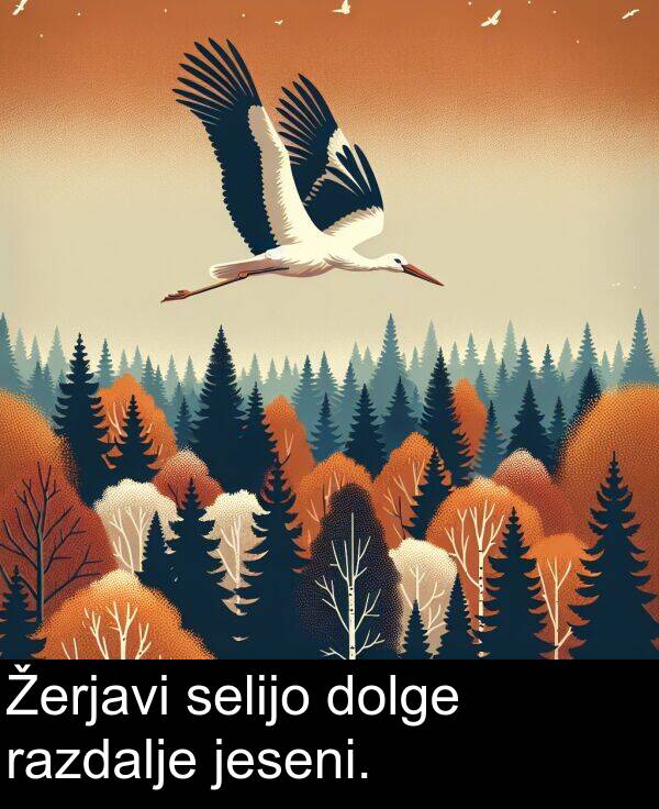 selijo: Žerjavi selijo dolge razdalje jeseni.