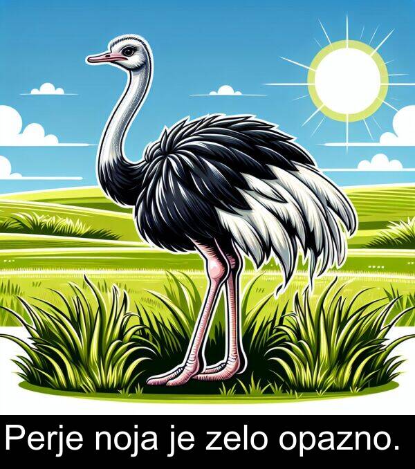 zelo: Perje noja je zelo opazno.