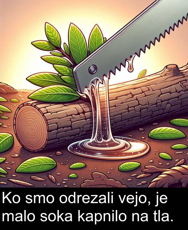 malo: Ko smo odrezali vejo, je malo soka kapnilo na tla.