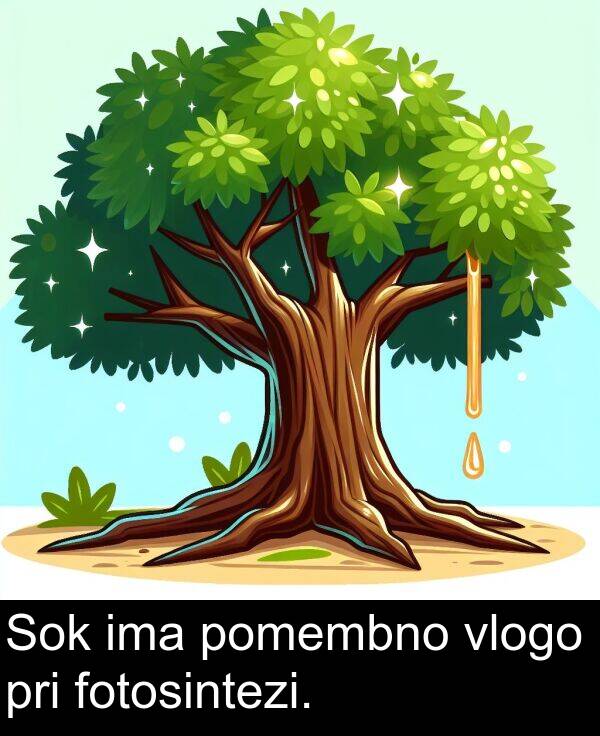pomembno: Sok ima pomembno vlogo pri fotosintezi.