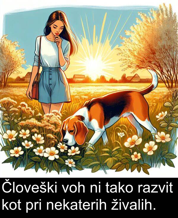 živalih: Človeški voh ni tako razvit kot pri nekaterih živalih.