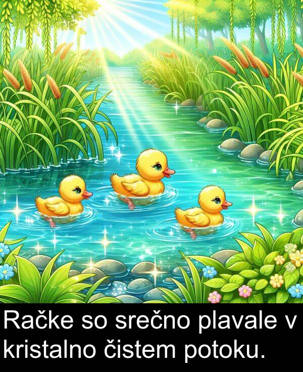 čistem: Račke so srečno plavale v kristalno čistem potoku.