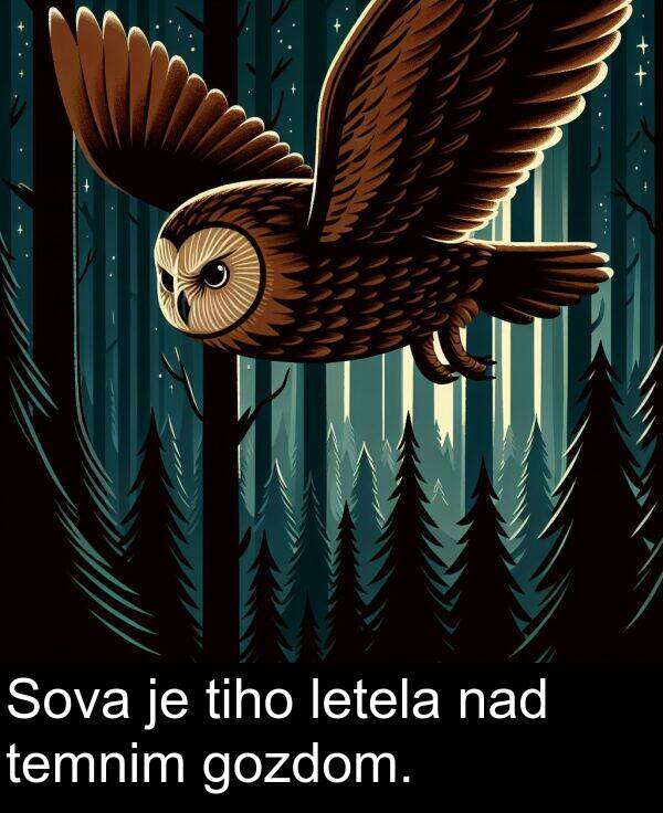 nad: Sova je tiho letela nad temnim gozdom.
