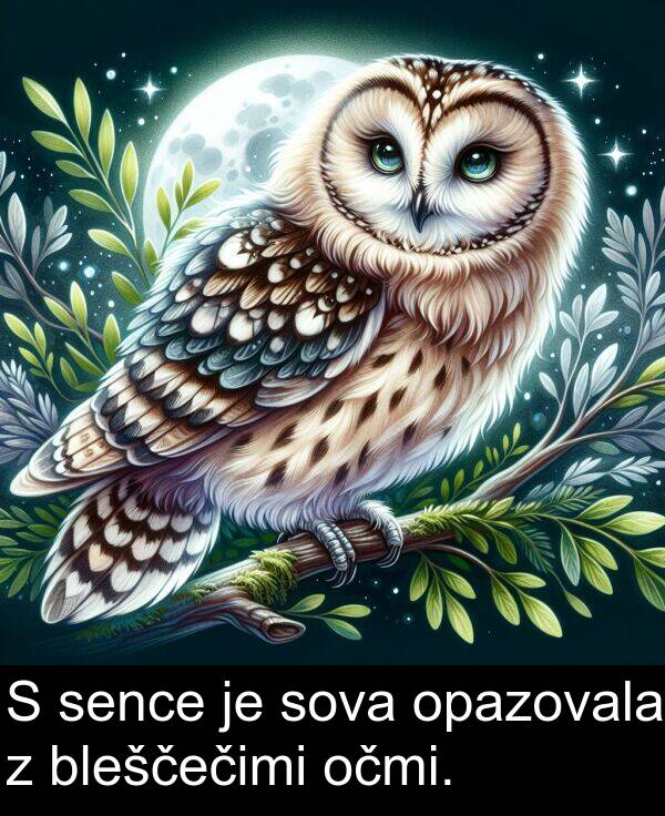 opazovala: S sence je sova opazovala z bleščečimi očmi.