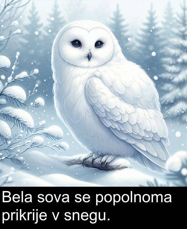 prikrije: Bela sova se popolnoma prikrije v snegu.