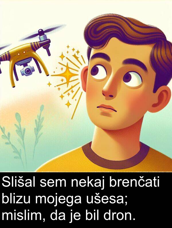 mojega: Slišal sem nekaj brenčati blizu mojega ušesa; mislim, da je bil dron.