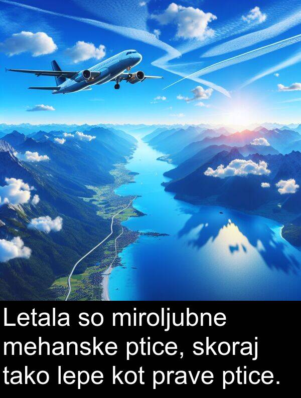 lepe: Letala so miroljubne mehanske ptice, skoraj tako lepe kot prave ptice.