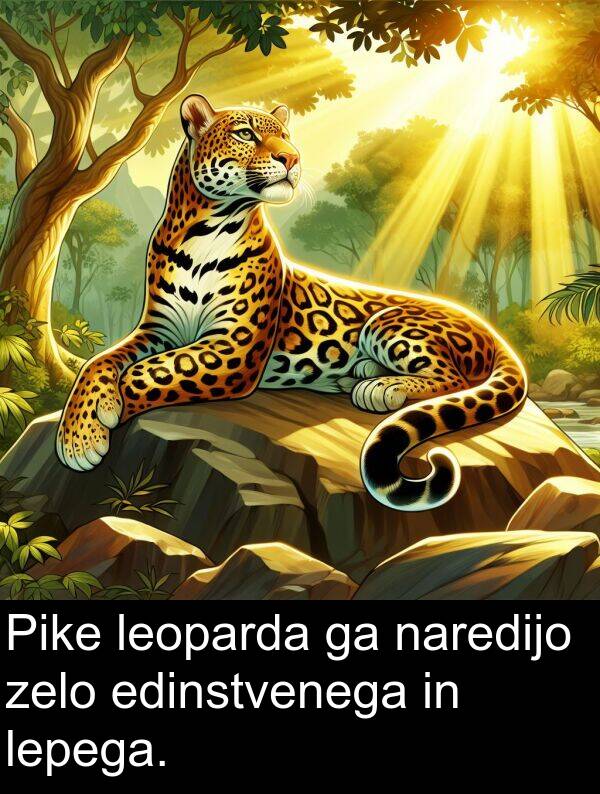 lepega: Pike leoparda ga naredijo zelo edinstvenega in lepega.