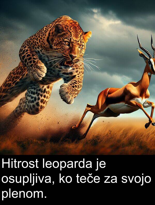 leoparda: Hitrost leoparda je osupljiva, ko teče za svojo plenom.