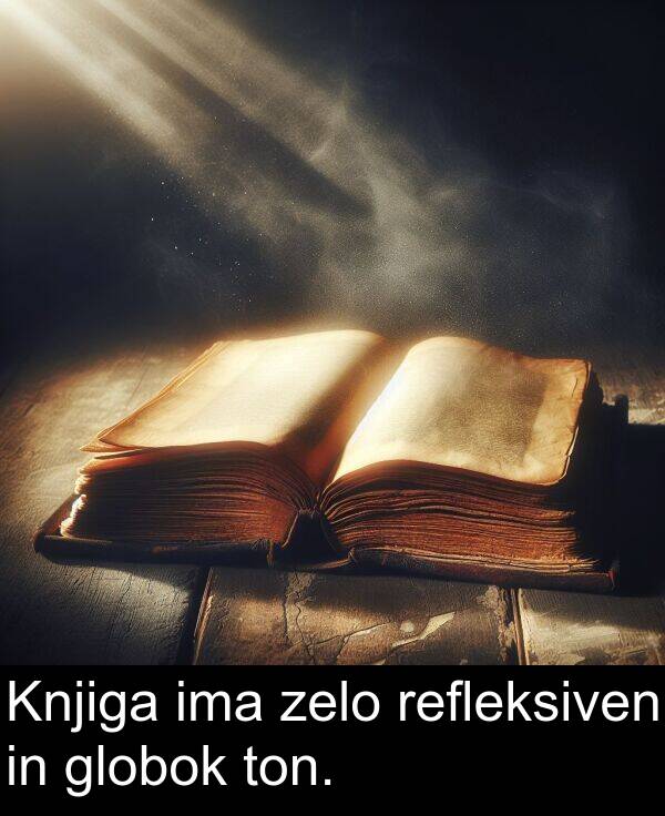ton: Knjiga ima zelo refleksiven in globok ton.