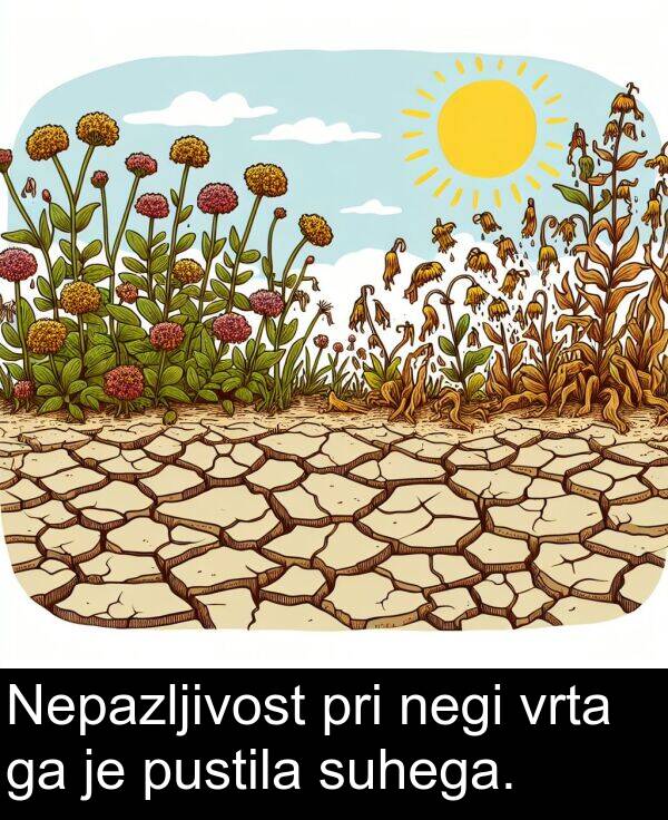 suhega: Nepazljivost pri negi vrta ga je pustila suhega.
