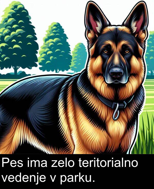 parku: Pes ima zelo teritorialno vedenje v parku.