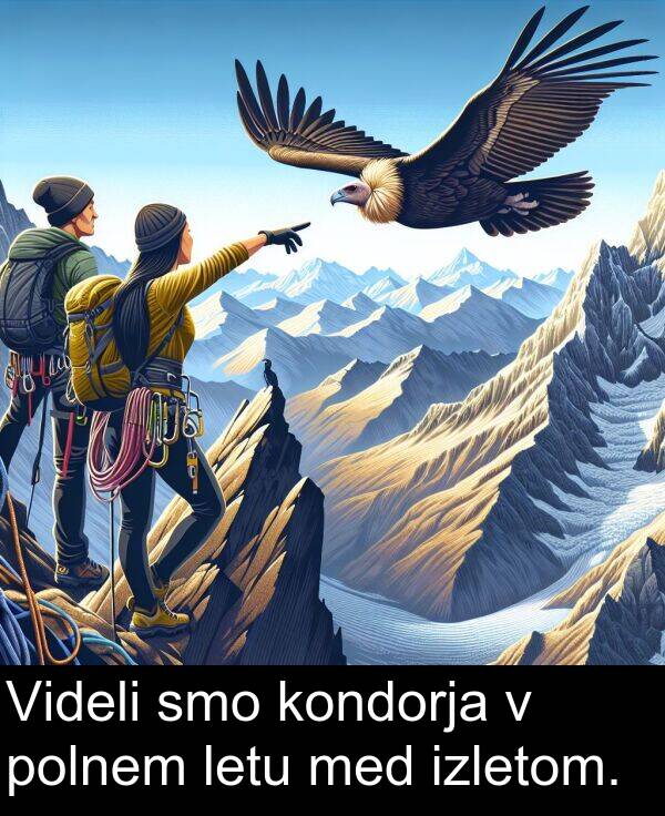polnem: Videli smo kondorja v polnem letu med izletom.