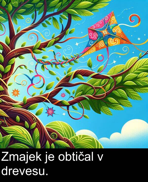 obtičal: Zmajek je obtičal v drevesu.