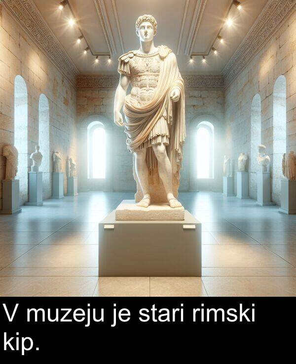 kip: V muzeju je stari rimski kip.