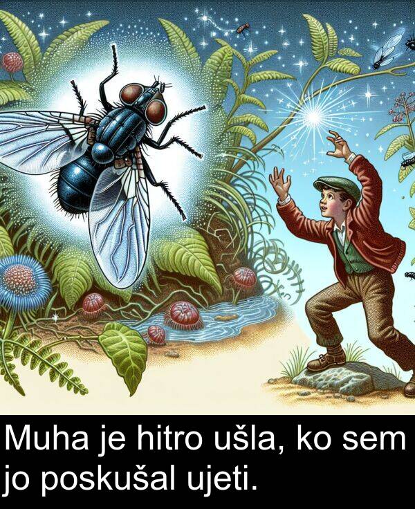 poskušal: Muha je hitro ušla, ko sem jo poskušal ujeti.