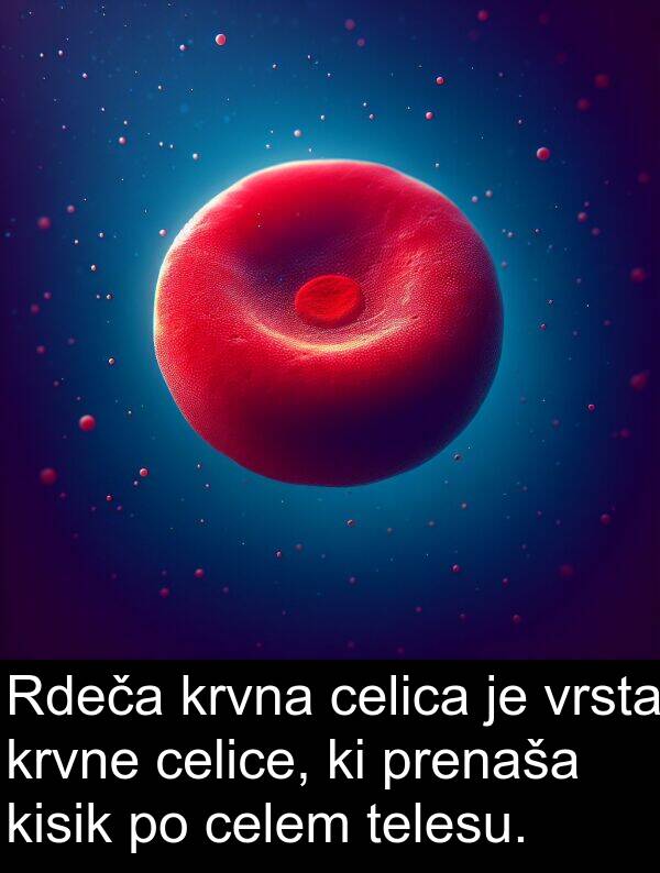 celice: Rdeča krvna celica je vrsta krvne celice, ki prenaša kisik po celem telesu.