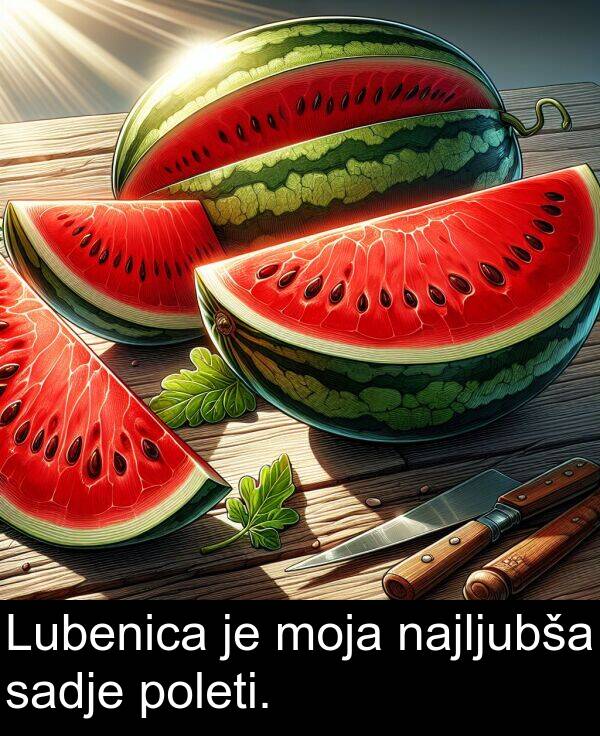 sadje: Lubenica je moja najljubša sadje poleti.