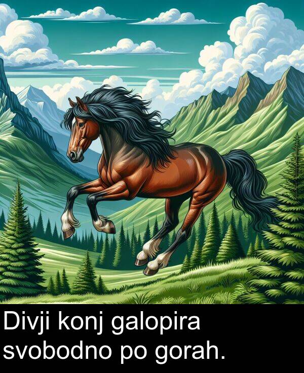 galopira: Divji konj galopira svobodno po gorah.