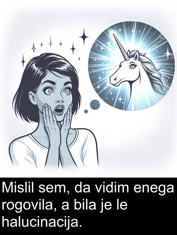 halucinacija: Mislil sem, da vidim enega rogovila, a bila je le halucinacija.