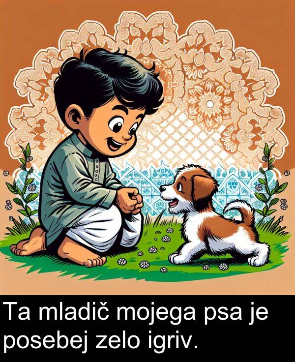 mojega: Ta mladič mojega psa je posebej zelo igriv.