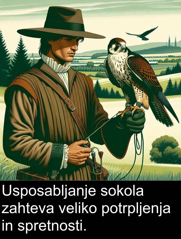 potrpljenja: Usposabljanje sokola zahteva veliko potrpljenja in spretnosti.