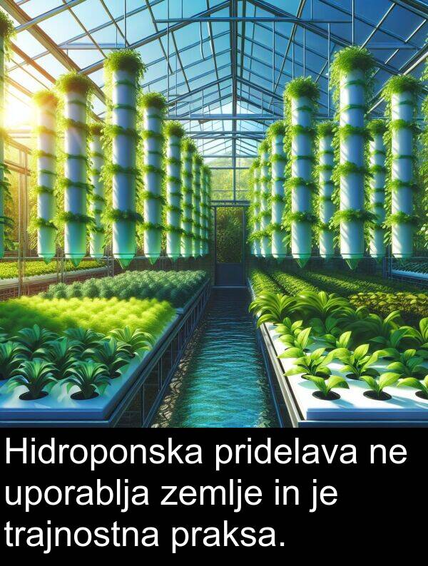 zemlje: Hidroponska pridelava ne uporablja zemlje in je trajnostna praksa.