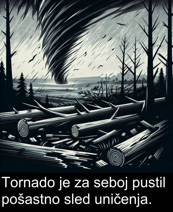 seboj: Tornado je za seboj pustil pošastno sled uničenja.