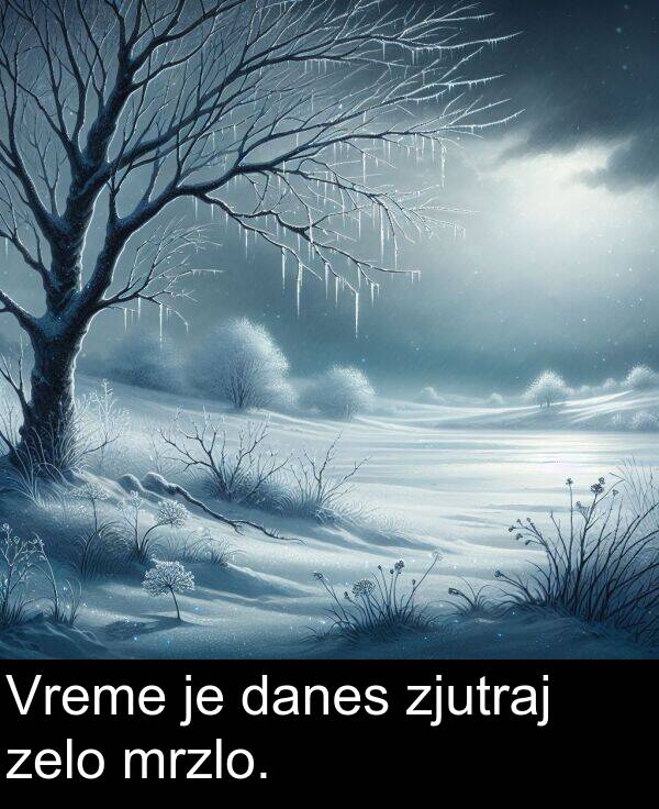 danes: Vreme je danes zjutraj zelo mrzlo.