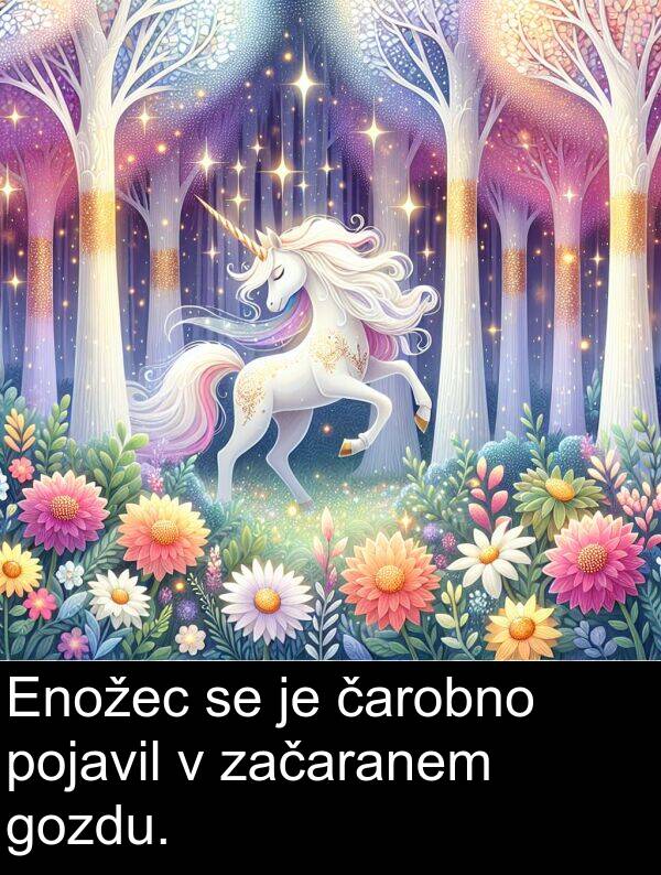 čarobno: Enožec se je čarobno pojavil v začaranem gozdu.