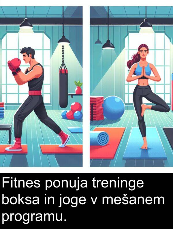 ponuja: Fitnes ponuja treninge boksa in joge v mešanem programu.