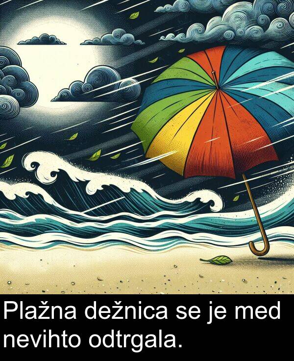 nevihto: Plažna dežnica se je med nevihto odtrgala.
