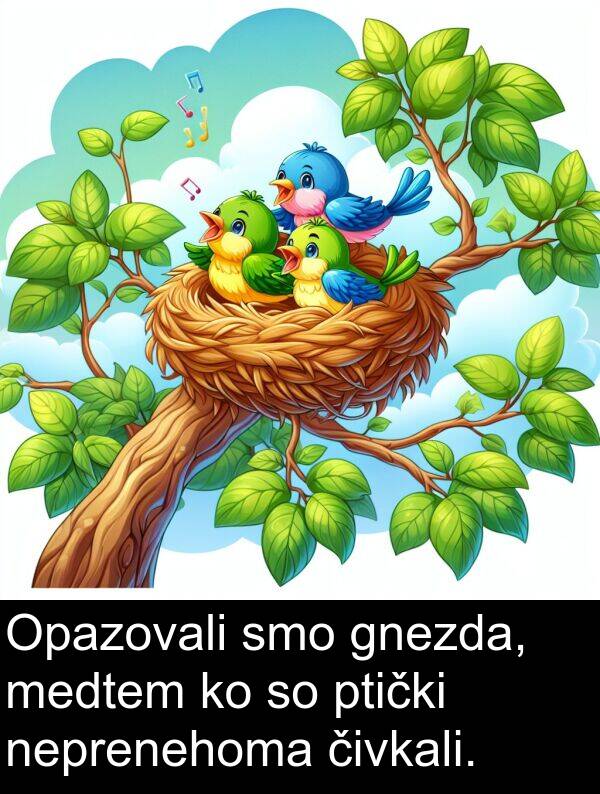 čivkali: Opazovali smo gnezda, medtem ko so ptički neprenehoma čivkali.