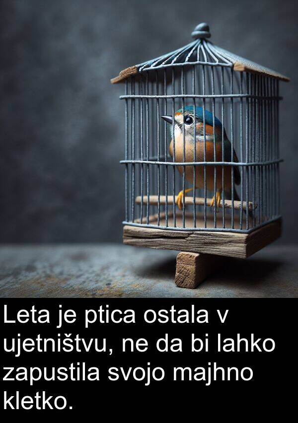 majhno: Leta je ptica ostala v ujetništvu, ne da bi lahko zapustila svojo majhno kletko.