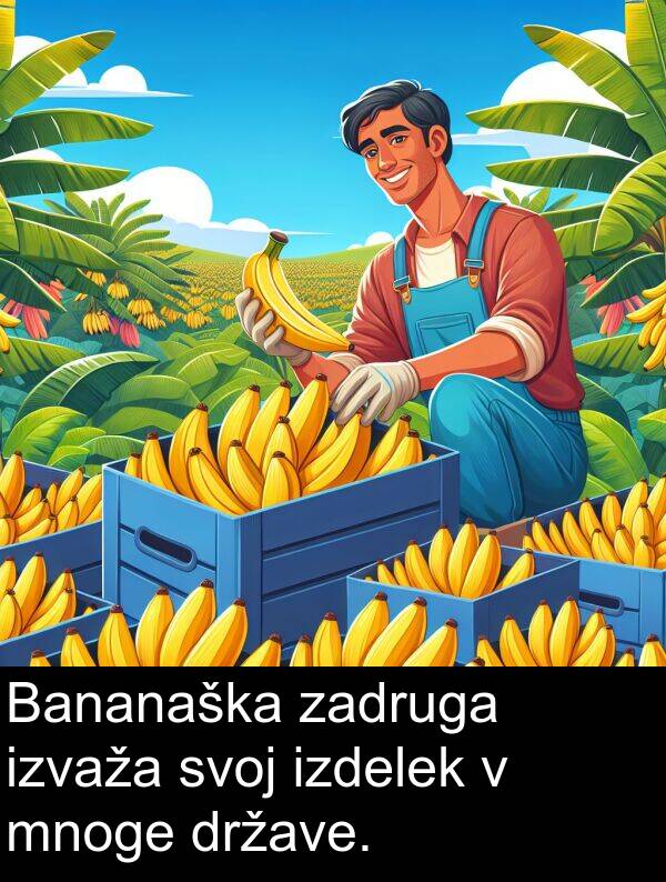 zadruga: Bananaška zadruga izvaža svoj izdelek v mnoge države.