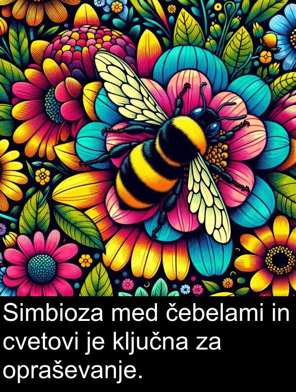 opraševanje: Simbioza med čebelami in cvetovi je ključna za opraševanje.