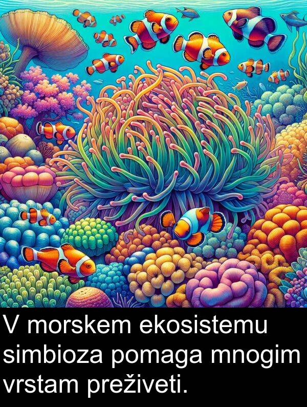 ekosistemu: V morskem ekosistemu simbioza pomaga mnogim vrstam preživeti.