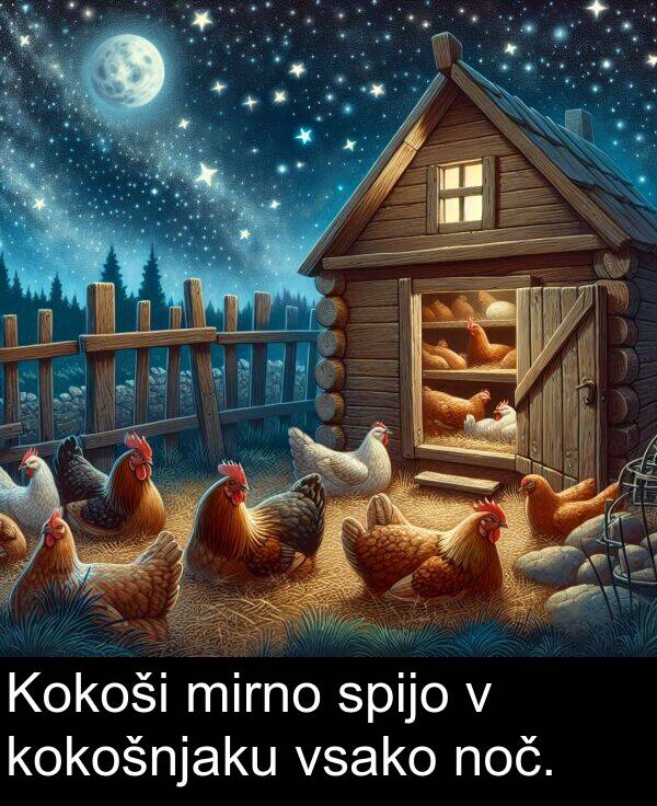 spijo: Kokoši mirno spijo v kokošnjaku vsako noč.