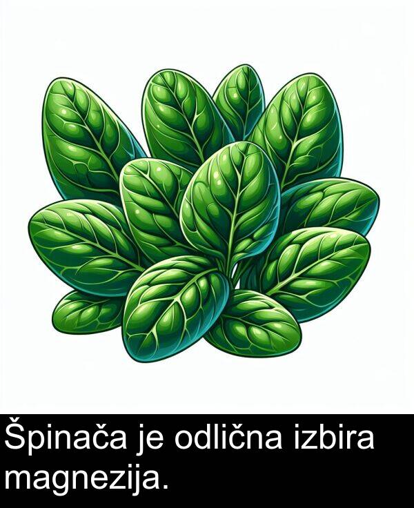magnezija: Špinača je odlična izbira magnezija.
